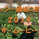 MVアイキャッチ画像_ミッシー圃場の野菜2019